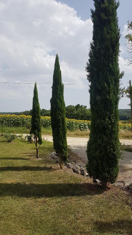 Charmant Logement A La Campagne Gazaupouy ภายนอก รูปภาพ